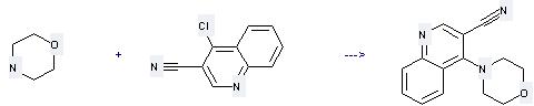 3-Quinolinecarbonitrile,4-chloro- is used to produce 4-Morpholin-4-yl-quinoline-3-carbonitrile.